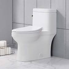 Image: One peice toilet