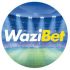 Betraha Kenya-Get your 750 bonus | Registration | Full review